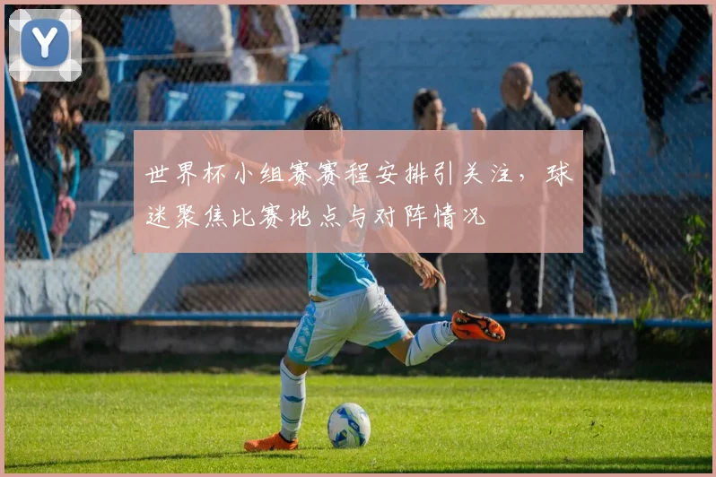 世界杯小组赛赛程安排引关注，球迷聚焦比赛地点与对阵情况