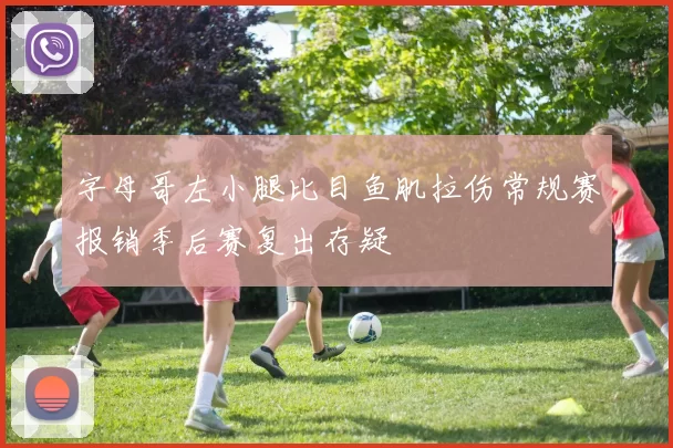 字母哥左小腿比目鱼肌拉伤常规赛报销季后赛复出存疑