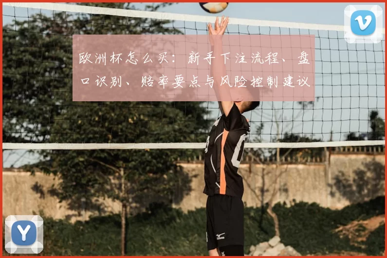 欧洲杯怎么买：新手下注流程、盘口识别、赔率要点与风险控制建议